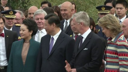 "Diplomacia del panda" llega a Bélgica