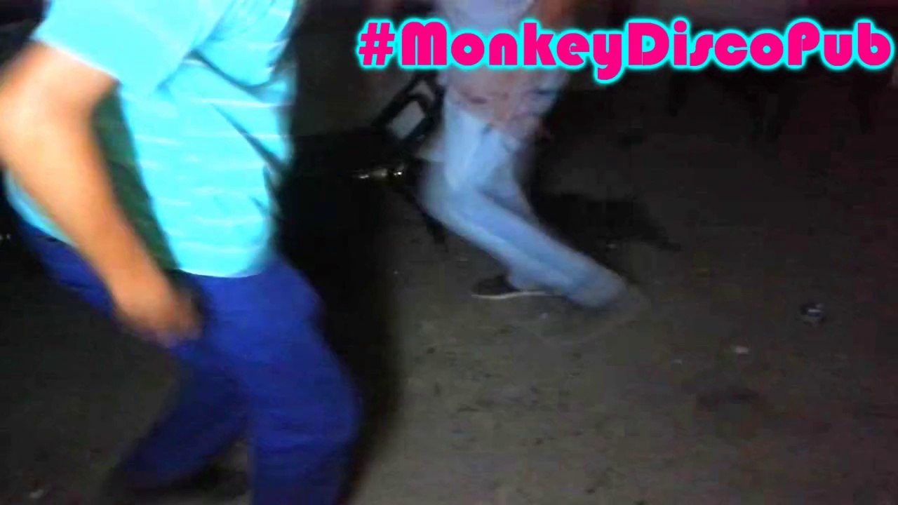 Monkey Disco Pub