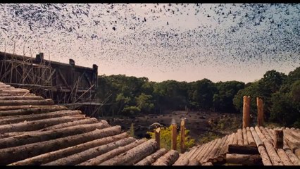 NOE WYBRANY PRZEZ BOGA - CAŁY FILM 2014