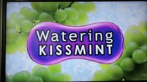 キスマイCM watering kiss mint
