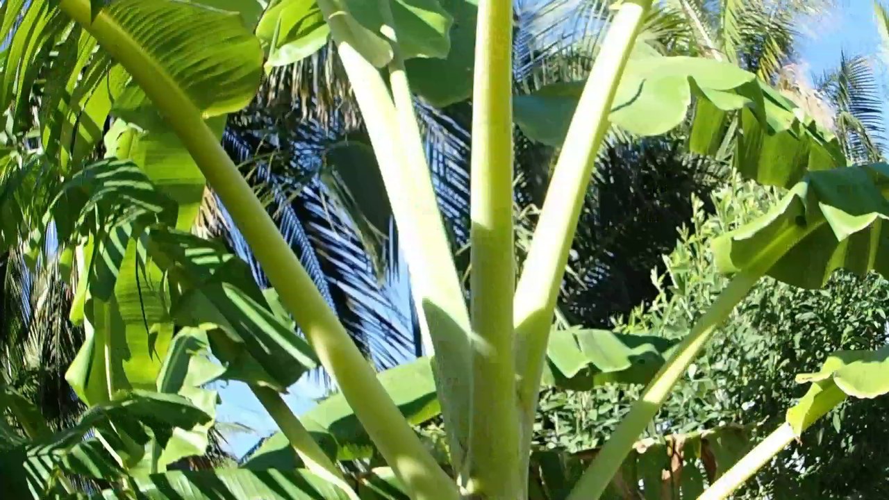 P4010001