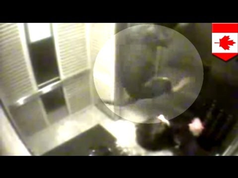 Dog vs elevator: Rottweiler close to death as leash gets caught in Toronto condo lift door