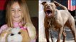 Pitbull attack: 4 year old girl dies after being mauled by vicious dog 3 times her size