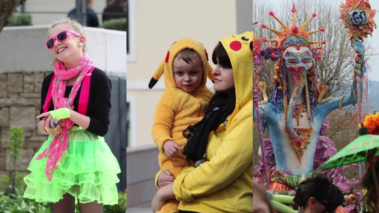 Retour sur le Carnaval de Montélimar 2014