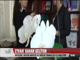 Bahar ayında etkili olan polenlere karşı uzmanlar vatandaşları uyardı. Alerji Uzmanı Prof. Dr. Yonca Tabak bilgiler veriyor.