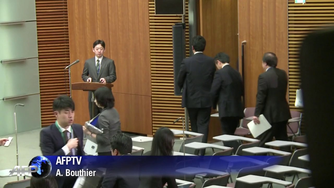 Tokyo arrête la pêche à la baleine en Antarctique