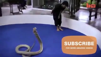 Kobrayla Öpüşen Adam