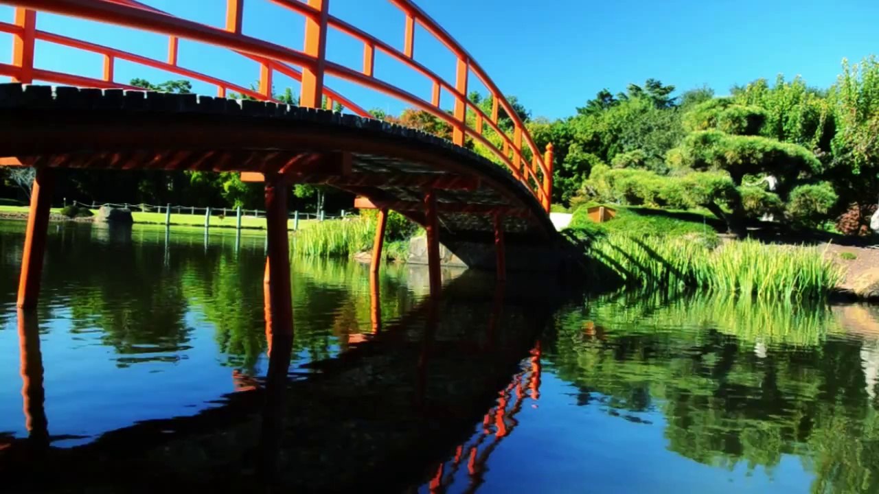 Fruit Ninja Kinect E3 2011 Trailer