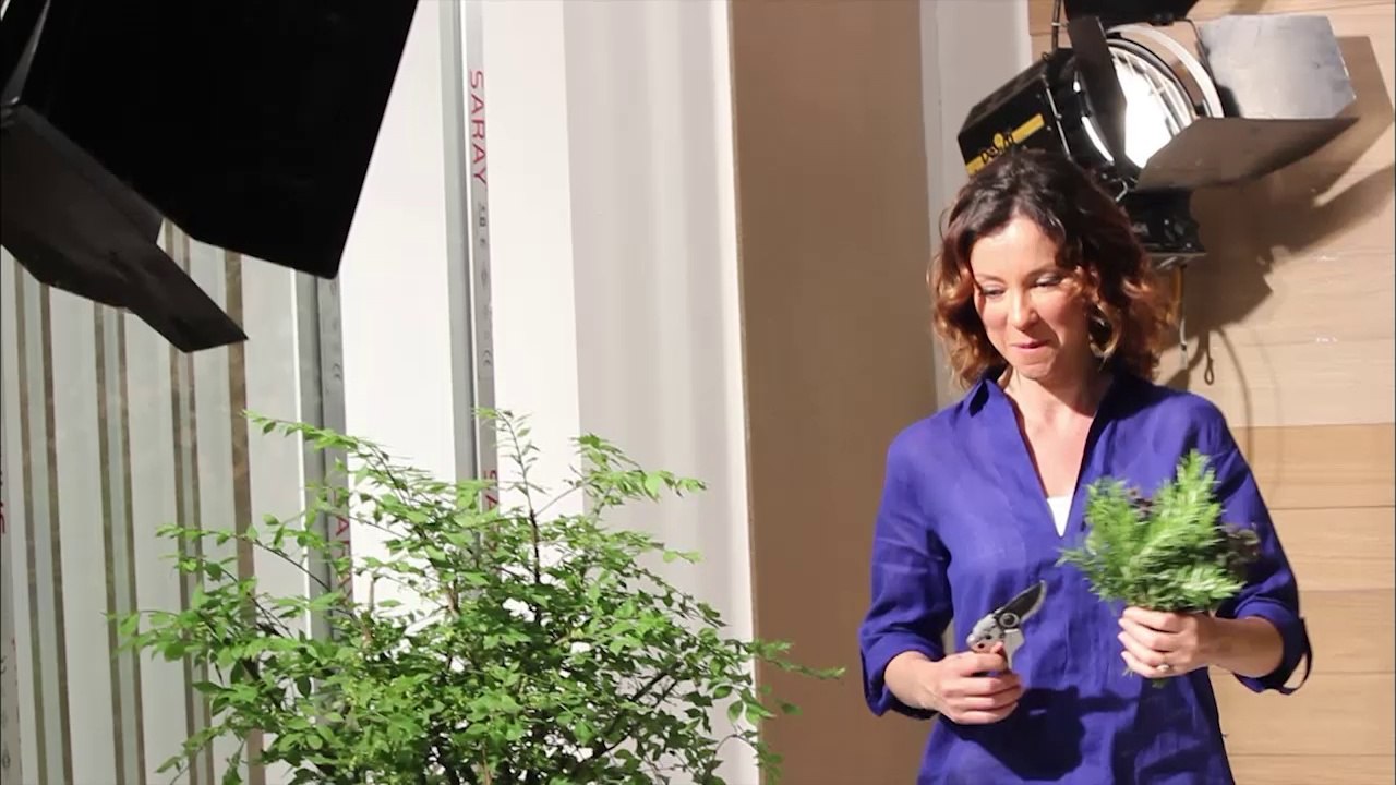 Bosch Ankastre Reklam Filmi Kamera Arkası Videosu