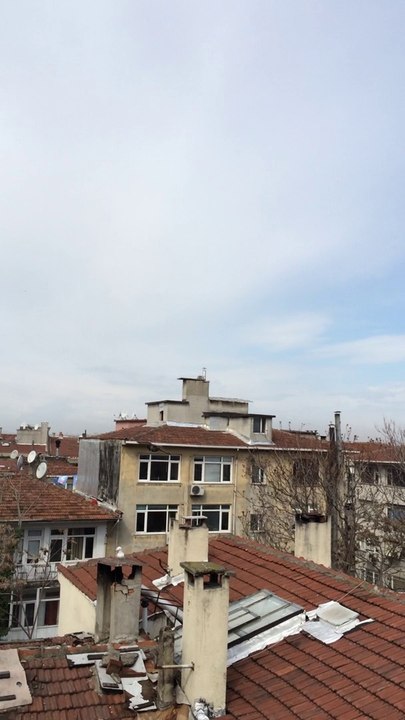 güvercin sefer kuşu ferdi bayrak kadıköy istanbul 05354829474