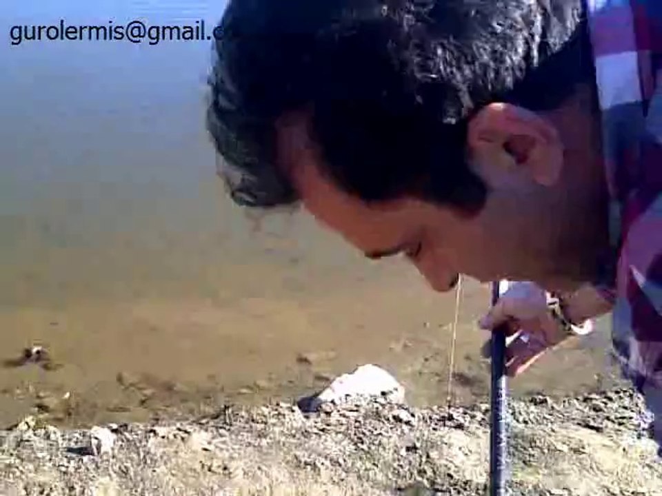 Sazan Avı Yakalama Anı Gürol ERMİŞ