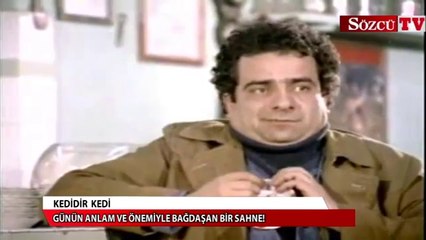 Sosyal medyada kedidir kedi sarsıntısı