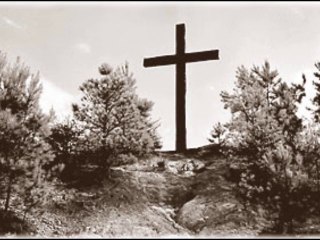 A única resposta ao sofrimento! Paulo Cardoso