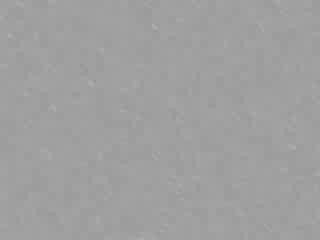 Akon-Belly dancer(www.desiworlds.com)