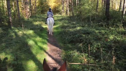 A cheval en Forêt de Compiègne pour faire le plein d’oxygène