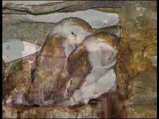 Europe Garden Camping Village Resort