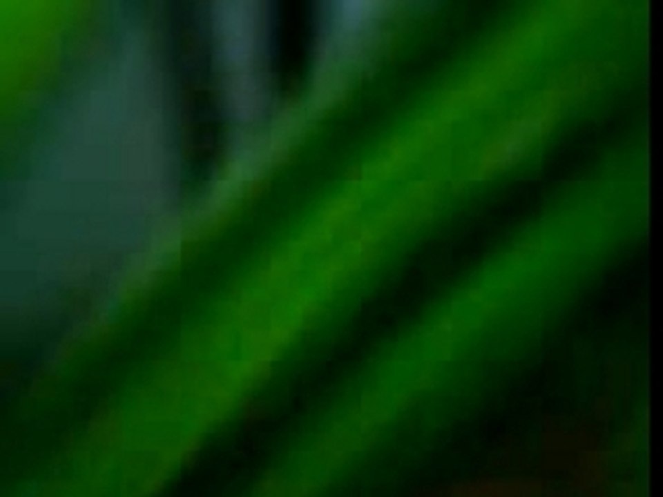 Chant dans la Jungle