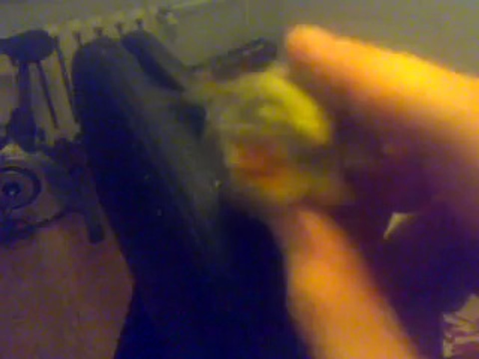Papuszka :3