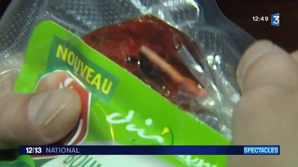 Treize jours dans la peau d'un ours