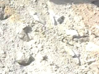 DANISH PLINTH 1 APRIL 2014