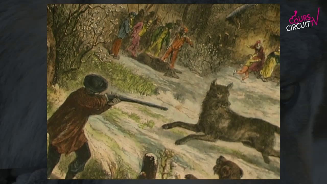 Le Loup première partie