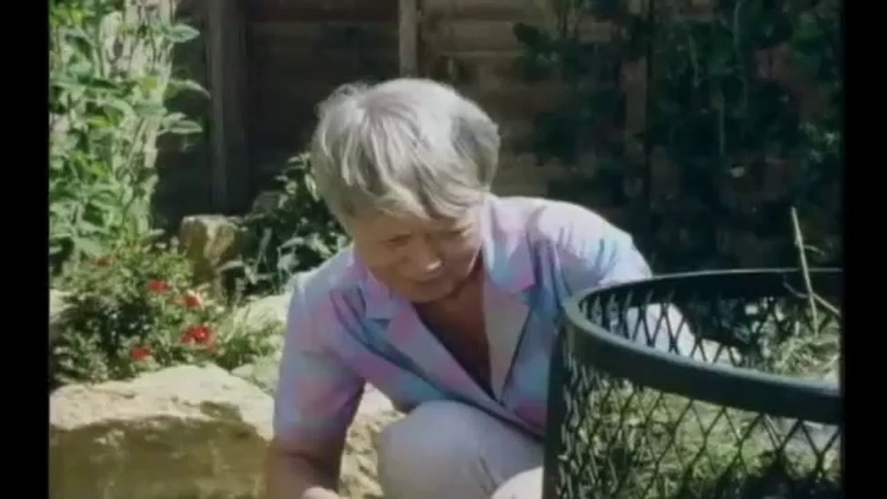 One Foot In The Grave_ Series 2 Ep 2 - We Have Put Her Living in the Tomb (BBC)