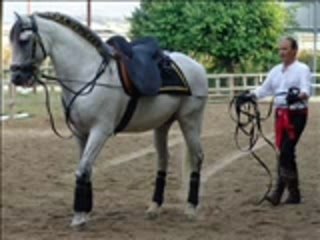 les chevaux de mon centre