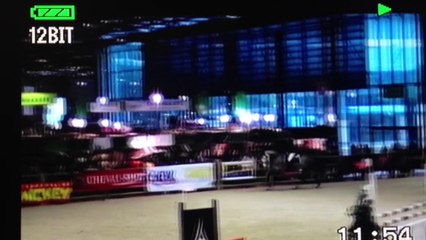 Charming Boy par Cassini II - Salon du cheval de Paris