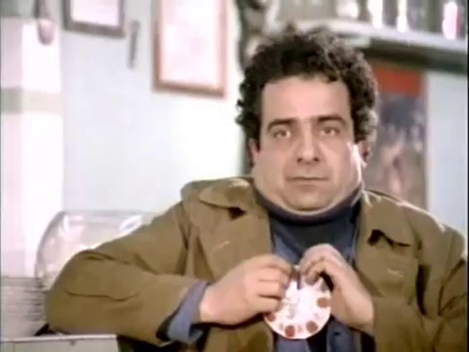 Kedidir kedi kesin kedidir