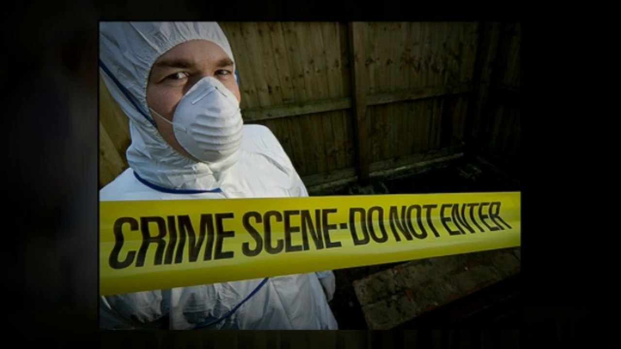 London Safety Clean - Extreme Cleaning Services