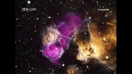 Supernova Survivor - Massive Star Weathers Mega-Blast