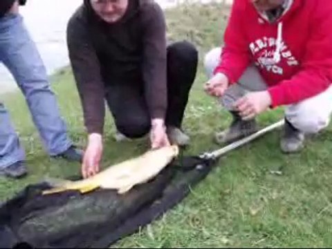 Sazan Avı Gürol ERMİŞ