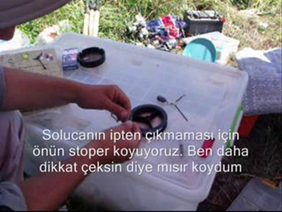 Solucanı İğneye Takma Tekniği Gürol ERMİŞ