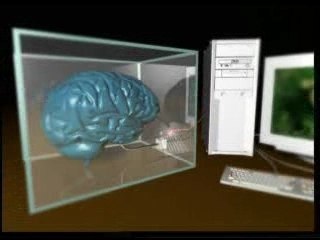 Miracle in the Holy Quran - 7