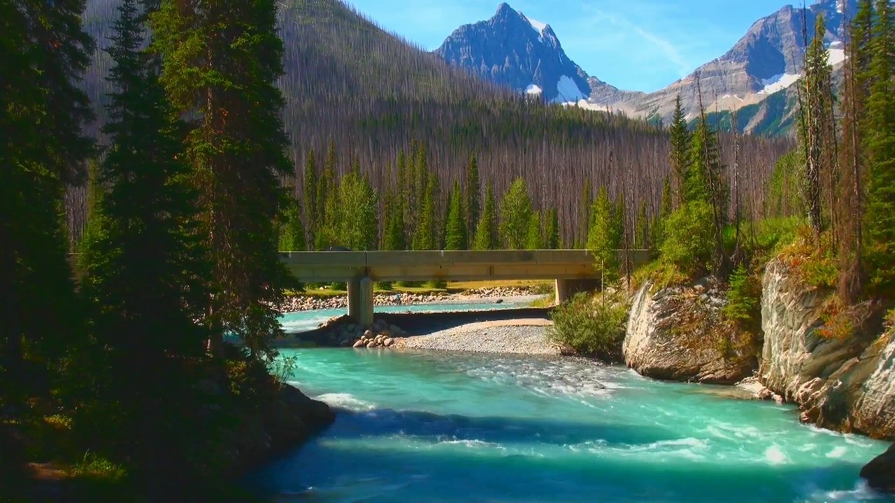 Vermilion Crossing in Kootenay NP.