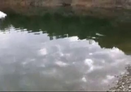 Turna Yakalama Anı Gürol ERMİŞ