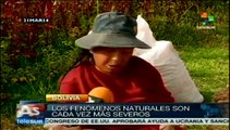 Lluvias torrenciales perjudican los cultivos de papa en Bolivia