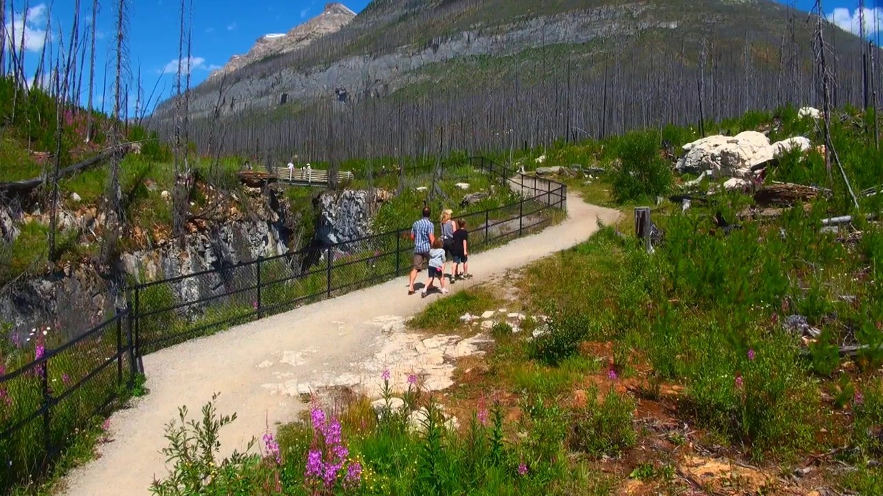 Above Bridges in Marble Canyon.