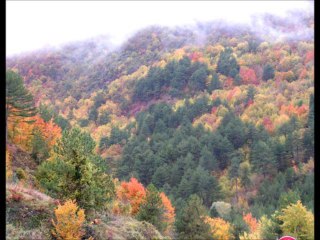 ERDAL BAYRAKOĞLU - SESİMİ DUYACAKSUN..