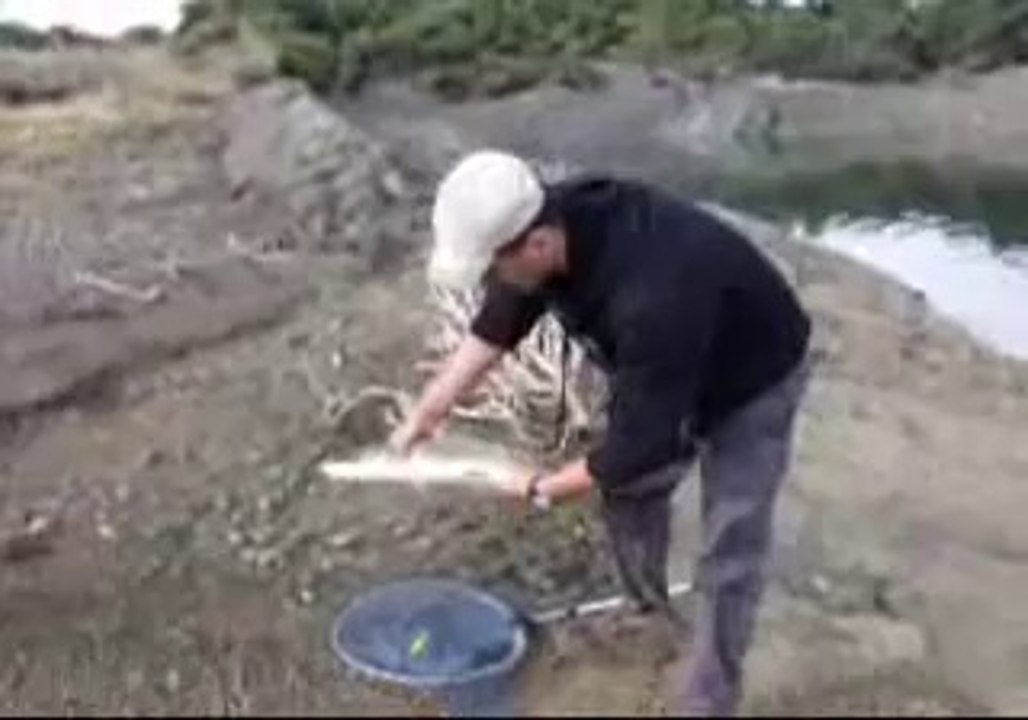 Turna Avım Gürol ERMİŞ