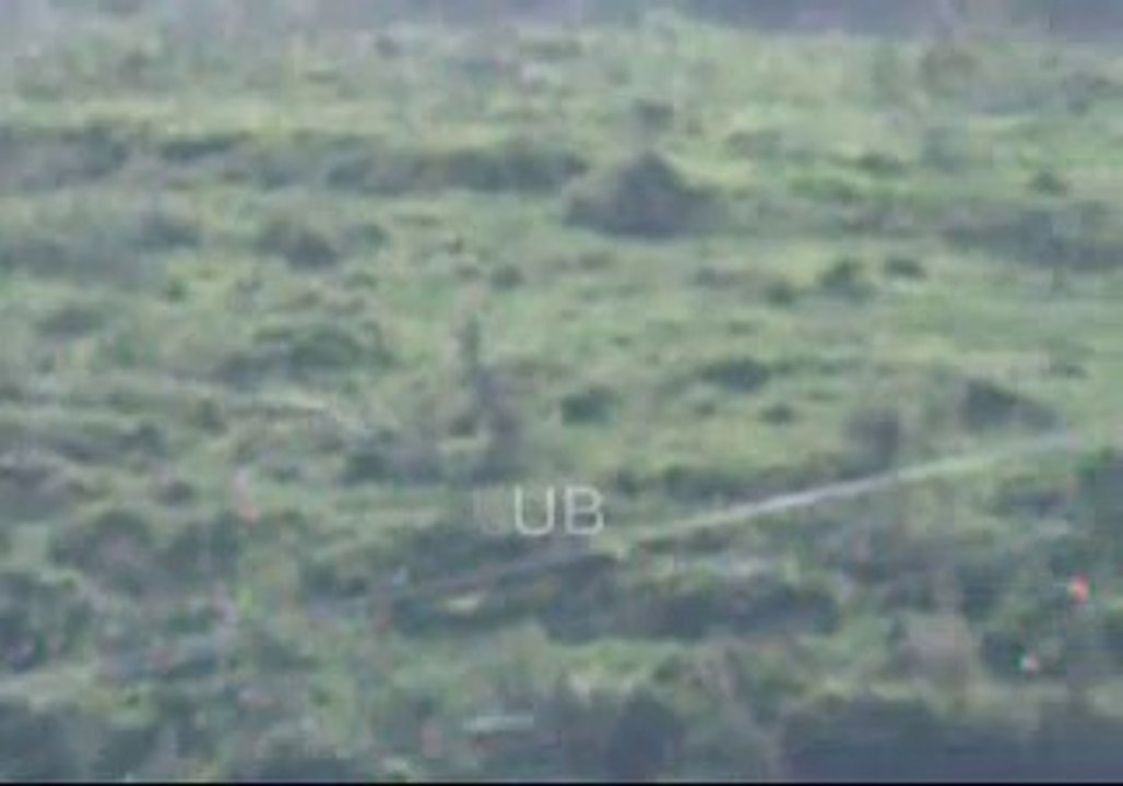 Örümcekler Uçarak Göç Ediyor