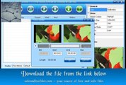 Amadis Video Converter Suite 3.9.2 Serial Code Free Download