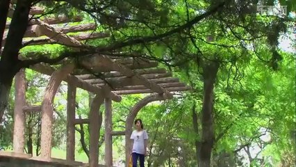 亲情保卫战02 - 电视剧剧情介绍