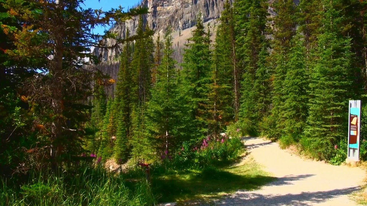 Entering Marble Canyon in Kootenay NP.