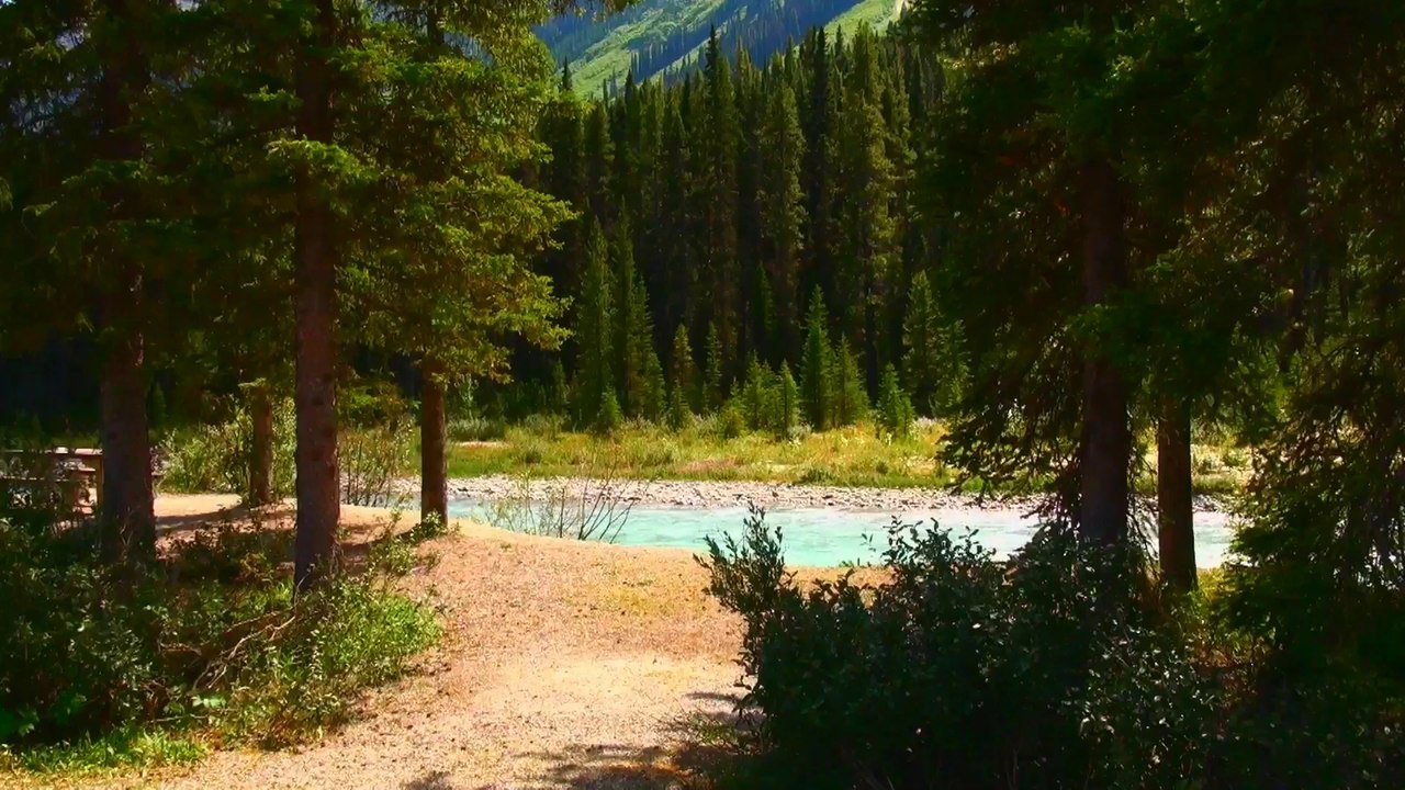 Around Numa Falls in Kootenay NP .