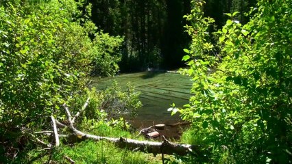Olive Lake of Kootenay NP.