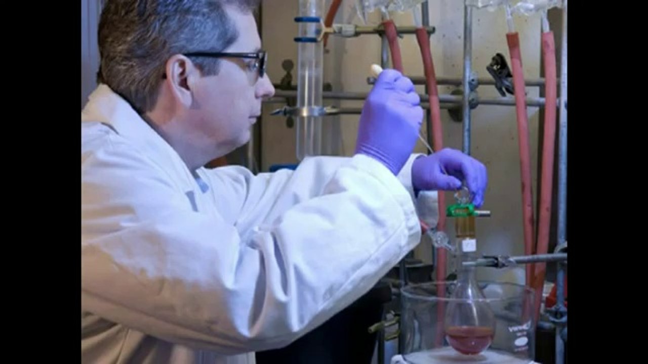 David Irving explains The Holocaust Legend