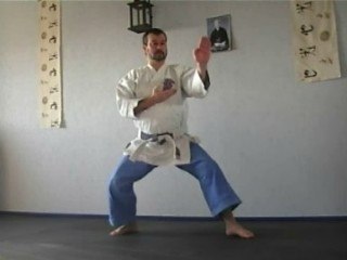assauT karate jutsu