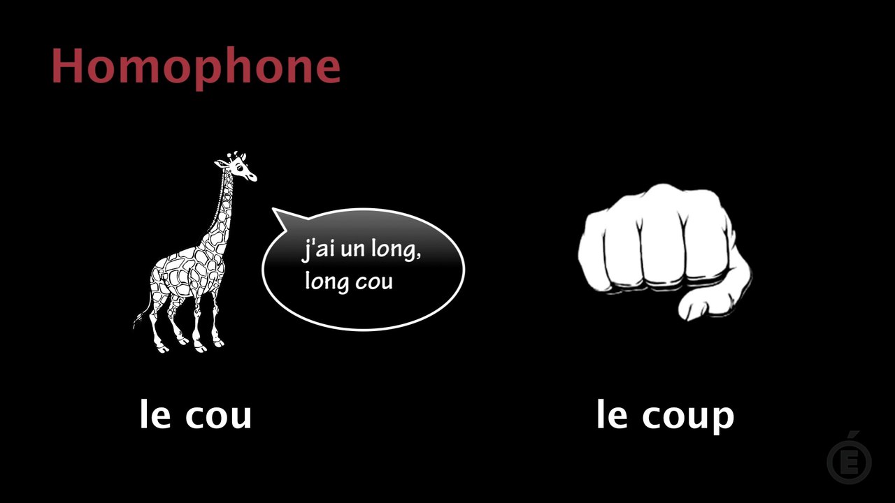 synonymes, antonymes, homonymes, paronymes