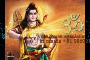 intercast LOVE MARRIAGE SPECIALIST +91 9950211818